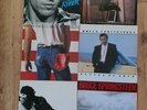 Selection of Bruce Springsteen Vinyls