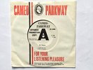 Question Mark & The Mysterians - Cameo Parkway Advance Promo Copy. Garage Punk