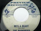 HEAR The Raindrops He's A Best Preview Records 1259 SONG POEM ODD GIRL GROUP POP