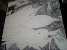 Rudimentary Peni, echoes of anguish 12