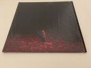 LP Phoebe Bridgers - Punisher Seaglass Wave LTD EDITION Vinyl + signed print