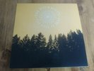 THE DECEMBERISTS THE KING IS DEAD VINYL LP w/INNER ORIG 2011 EX+ ROUGH TRADE