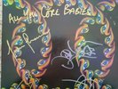 TOOL Lateralus 2LP Picture Disc Vinyl Album SIGNED by Band JSA LOA BB33908