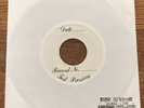 JIM SHEPARD V-3 Vertical Slit UNRELEASED Super Human EP 1995 Honeyman Records