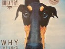 BIG COUNTRY WHY THE LONG FACE ORIGINAL U.K. LIMITED L.P. EXCELLENT CONDITION