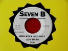 ROY WARD  HORSE WITH A FREEZE PART 1 AND 2  RARE PROMO  SEVEN B  FUNK