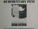 Rudimentary Peni ?– Live Nottingham, Yorker Club, 01/08/1982  white vinyl lp