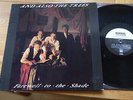 AND ALSO THE TREES Farewell To The Shade  LP Normal 114