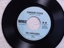 northern soul THE VANGUARDS Somebody Please / I Can t Use You Girl WHIZ 612 M-