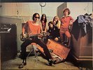 garage rock punk LP FLAMIN' GROOVIES Teenage Head MP3 OG Kama Sutra 1971 VG+