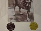 * ALICE IN CHAINS * 3 leg dog.Rare vinyl lp record.dog.mtv,jar.grunge,facelift.b