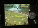 The Flamingos LP CHECKER 1433 The Flamingos 1959 Doo-wop