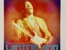 Jimi Hendrix - Winterland 8LP Box Set - 180 Gram Vinyl - #4198 Numbered Edition