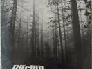 The Cure - A Forest 12