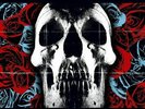 DEFTONES   Self-Titled S/T SKULL & ROSES Black Vinyl LP   Maverick OOP Sold Out