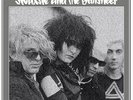 Siouxsie And The Banshees The Peel Sessions 1979-1981 CAT. RFPS79-81  VINYL lp