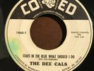 The Dee Cals Stars In The Blue What Should I Do / a Wonderful Day 45 VG+ Doo Wop