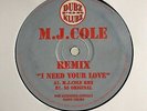 Dub Syndicate Productions - I Need Your Love MJ Cole Remix 12” UK Garage Vinyl