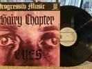 HAIRY CHAPTER Eyes LP 1970 OPP 5-21 original VG+/VG+ KRAUTROCK PROG