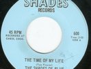 HEAR Shades Of Blue-The Time Of My Life MINT 66 IL JANGLE GARAGE w/HARMONIES GEM