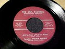 RARE DETROIT MOD/R&B 45 THELMA FARMER & TUNE TIMERS Just A Tiny Little Bit More