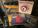AMAZING  20 Exotica LPs LYMAN, HEINDORF, LUBIN, MANN, CUGAT, THE SURFMEN + MORE