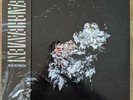 New Bermuda by Deafheaven 2 LP Clear Blue