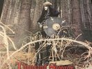 Graveland, Thousand Swords Black Metal Vinyl Ex Condition Ltd 888 Copies