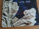 HELLBASTARD 'Natural Order' LP thrash metal