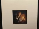 Vinnie Paz Pain Collector Test Press 6/15 Jedi Mind Tricks Aotp Lp Vinyl Signed