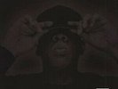 Jay-Z : The Black Album  (Double LP Vinyl )  sealed