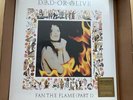DEAD OR ALIVE Fan The Flame Nukleopatra Fragile Unbreakable VINYL LP X4 NEW PWL