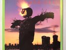 Sonic Youth Bad Moon Rising Vinyl Record LP Homestead Records Original Copy 1985