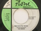 THE HOUNDS rare What’s He Got garage beat Canadian Stone 45 LISTEN