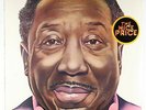 Muddy Waters - I'm Ready LP - Blue Sky SEALED