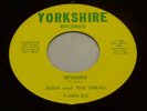 Garage 45-SEAN And The SHEAS-Spiders/Hi Diddle-YORKSHIRE Michigan