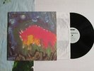 MEAT PUPPETS II 2 LP USA 1ST PRESS + RARE POSTER  INDIE ALTERNATIVE ROCK SST