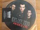 Alkaline Trio - Private Eye  7”  Vinyl Picture Disc Sealed