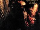 Paradise Lost - Gothic - LP Vinyl - New