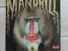 MANDRILL Fra LP 1971 Mandrill 2425 049 POLYDOR / Afro Cuban Funk Psych Jazz Rock