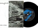 THE HUMMINGBIRDS - SWIM TO SHORE - RARE 7