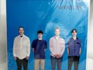 Weezer (Blue Album) Mobile Fidelity Sound Lab MFSL 1-390 180g BLACK MOFI LTD