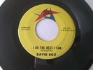 David Box, 45 - I Do The Best I Can / Waitin' - Joed JT-717, 1962 Rock, Crickets