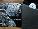 THE SUNDAYS - Reading, Writing and Arithmetic (1990) Vinyl, LP Rough Trade NM