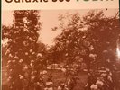 GALAXIE 500-TODAY 1st PRESS US AURORA IMPORT 1988 RARE
