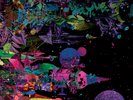 LCSM (LIKWID CONTINUAL SPACE MOTION) - EARTHBOUND (New_12