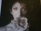 KATE BUSH REMASTERED IN VINYL 2 ... 3 X VINYL BOX SET, MINT ... NEVER PLAYED.