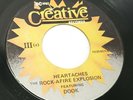 Rock-Afire Explosion Heartaches Birthday Creative Records 103040XA 1981 Showbiz