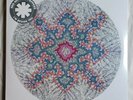 Red Hot Chili Peppers I'm Beside You RSD Limited 2476/5000 New Sealed Flea