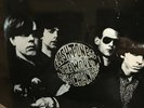 FLESHTONES-THE WORLD HAS CHANGED- LTD 300 COPIES GARAGE ROCK LP